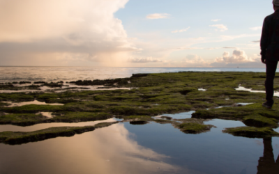 Reflexiones en tiempos de covid-19: II