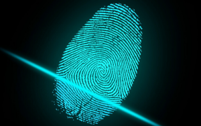 Evitar ataques en red con plataformas seguras