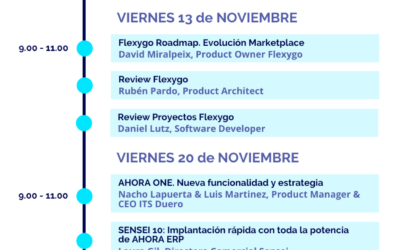 Convención Nacional Online de AHORA