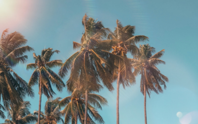 ¡Felices vacaciones!