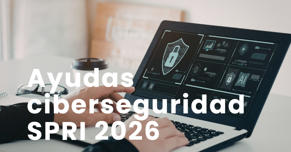 Consultores de EuskoData asesorando sobre ayudas ciberseguridad SPRI 2026 en Euskadi.
